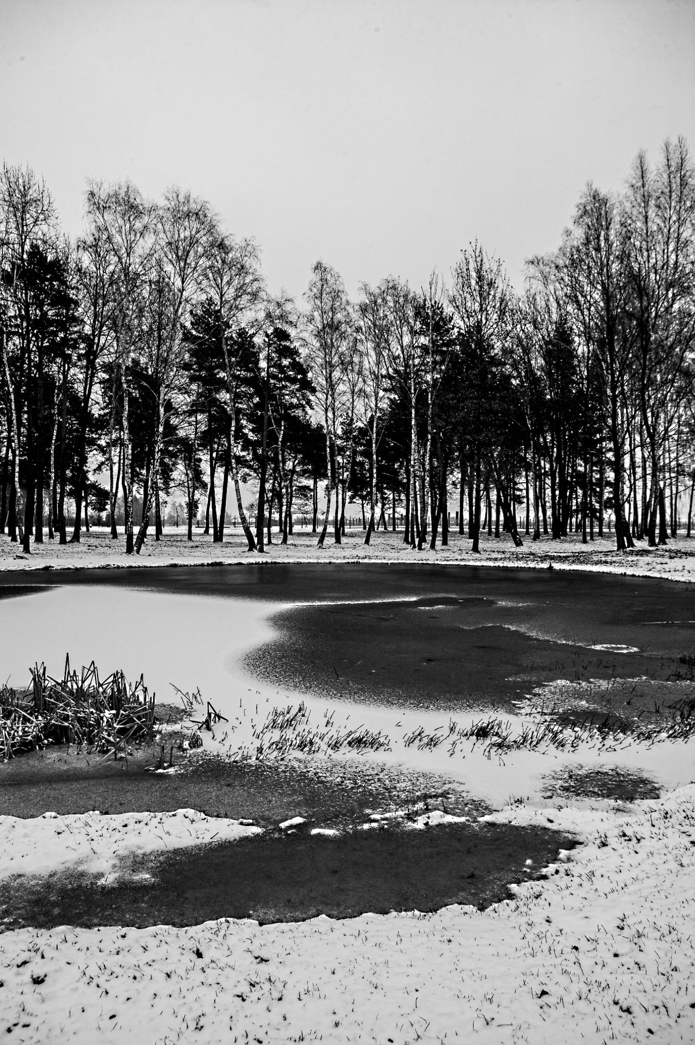  Frozen Pond of Ashes 